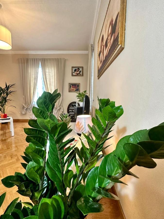Lovely Free Parking Appartement *
